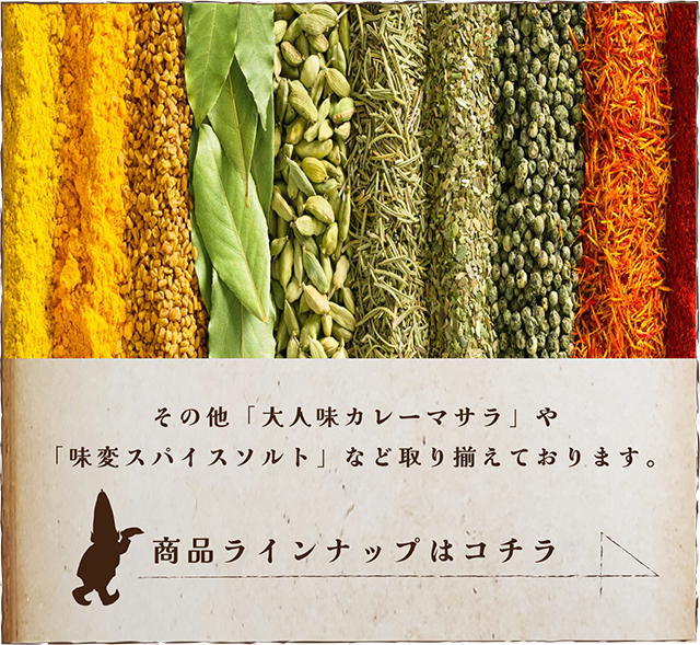 その他「大人味カレーマサラ」や「味変スパイスソルト」など取り揃えております。商品ラインナップはコチラ